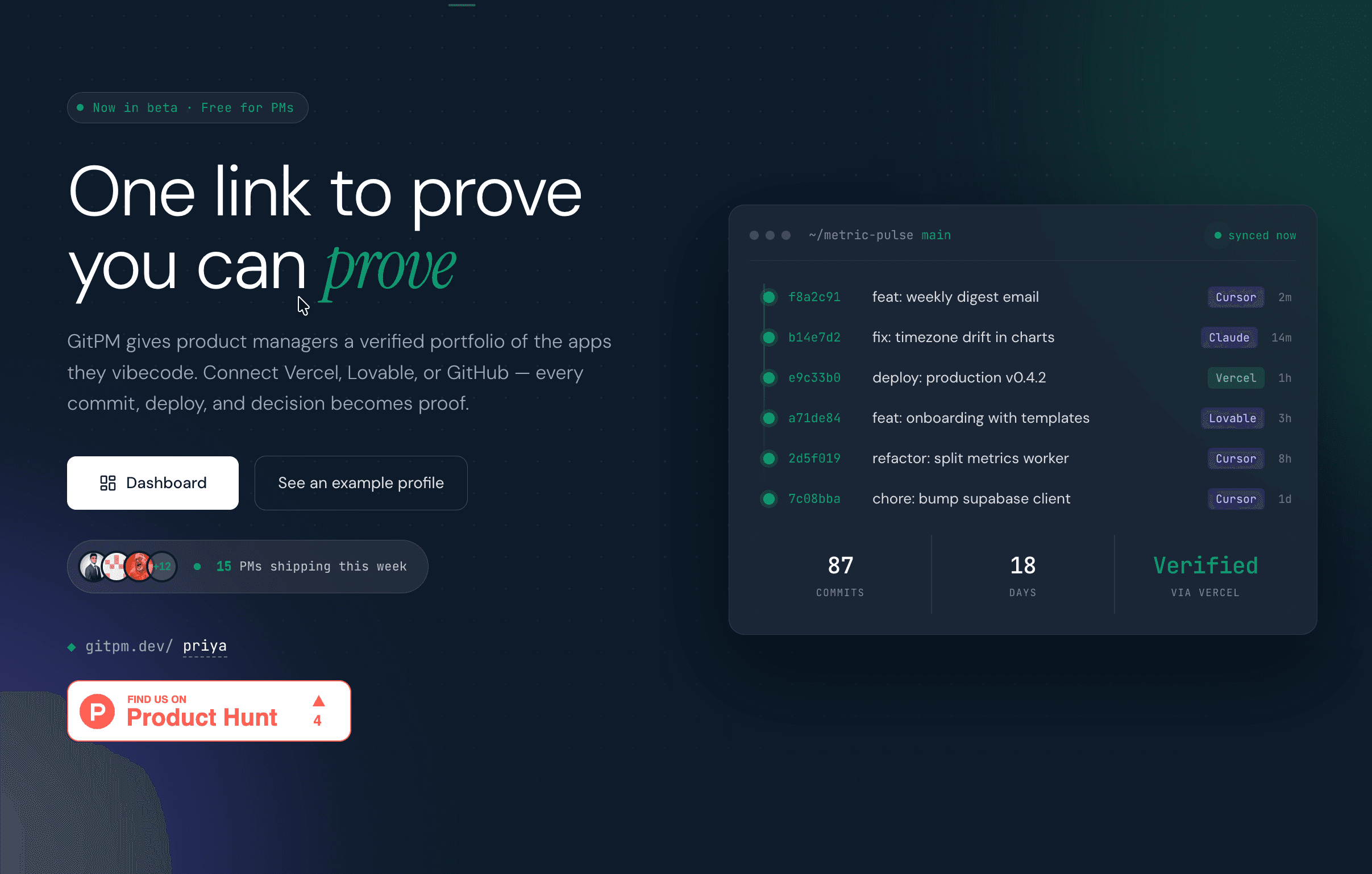 GitPM.Dev screenshot 1
